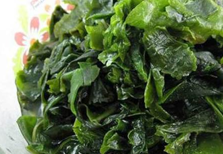 螺旋藻图片长什么样子呢（螺旋藻长啥样）