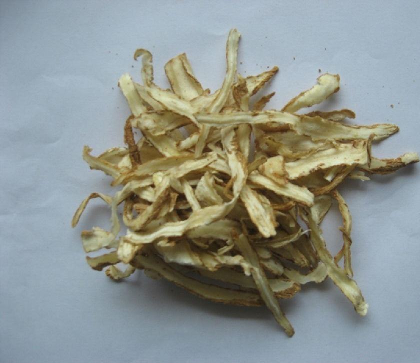 中药知母的副作用 中药知母的副作用是什么