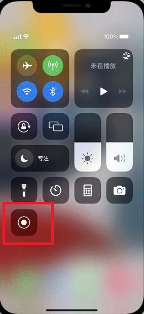 苹果手机录屏功能在哪里（苹果手机录屏功能在哪里打开）