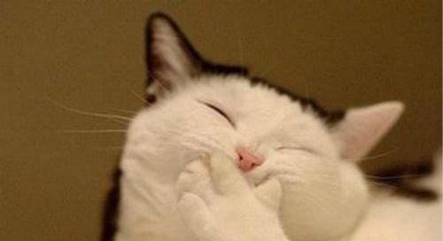 岔气的症状(闪腰岔气的症状)