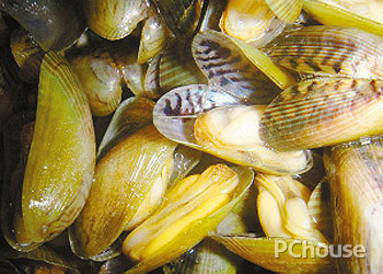 薄壳的做法 薄壳怎么做好吃