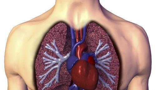 心脏神经官能症症状(心脏神经官能症症状有哪些)