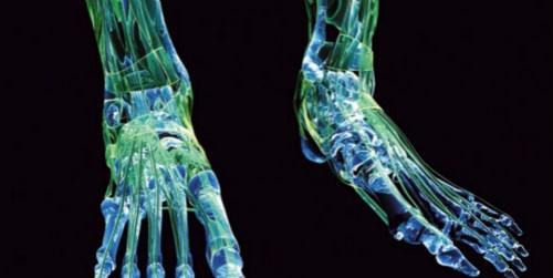 什么是骨结核（什么是骨结核,怎么治疗?）