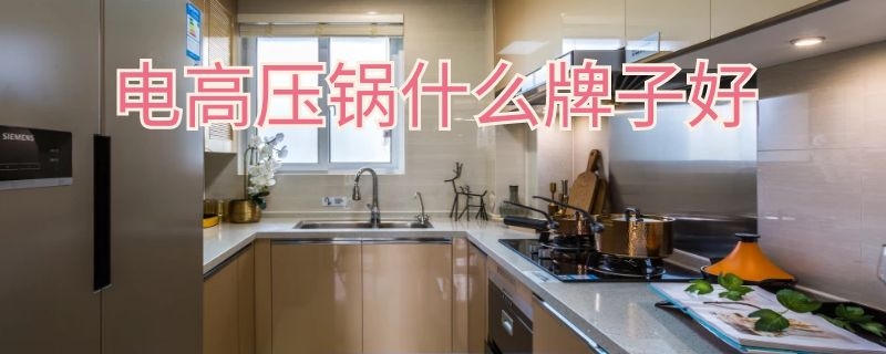 电高压锅什么牌子好（高压锅哪个品牌好）