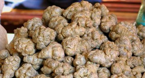 脑挫裂伤的偏方 脑挫裂伤的偏方有哪些