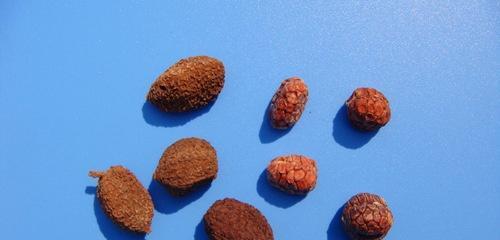 泛酸的偏方(如何缓解泛酸)