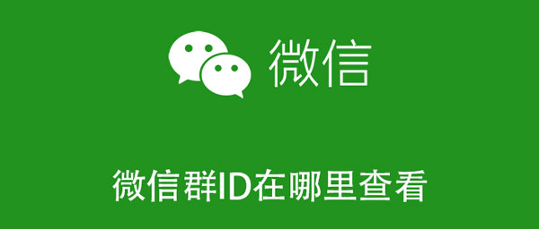 微信群ID在哪里查看（怎么查看群id）