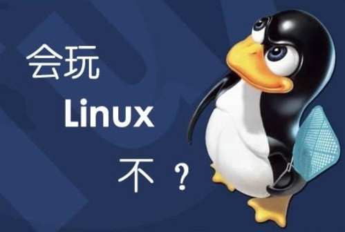 Linux系统安装Mongo扩展的方法（linux 启动mongo）