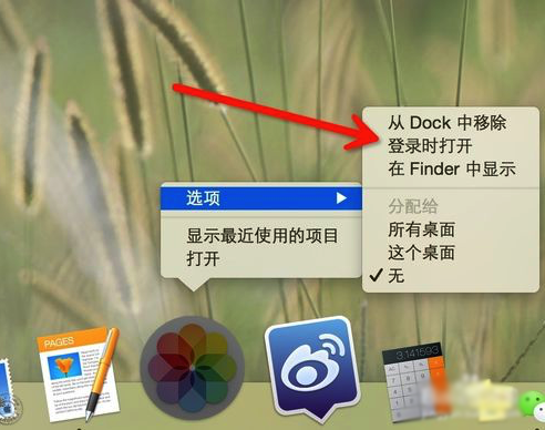 Mac一键设置软件开机自动启动教程（macbook设置软件自启动）