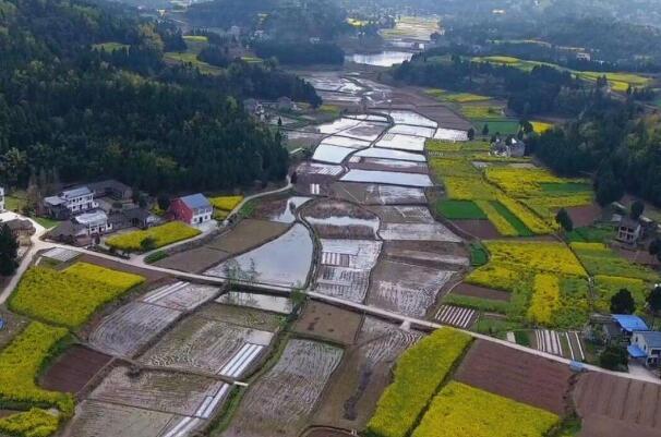 集体土地征收与补偿给集体还是个人（集体土地征收后的征地补偿费用包括）