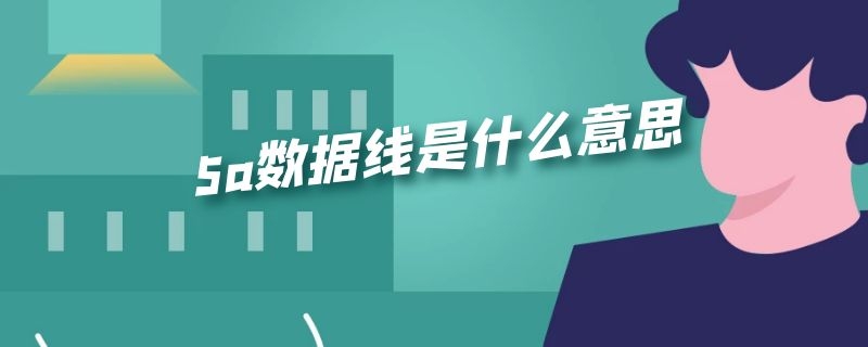 5a数据线是什么意思（什么叫5a数据线）