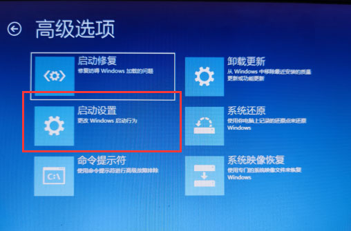 win10登录选项不见了怎么办 win10无法登录你的账户然后所有设置不见了