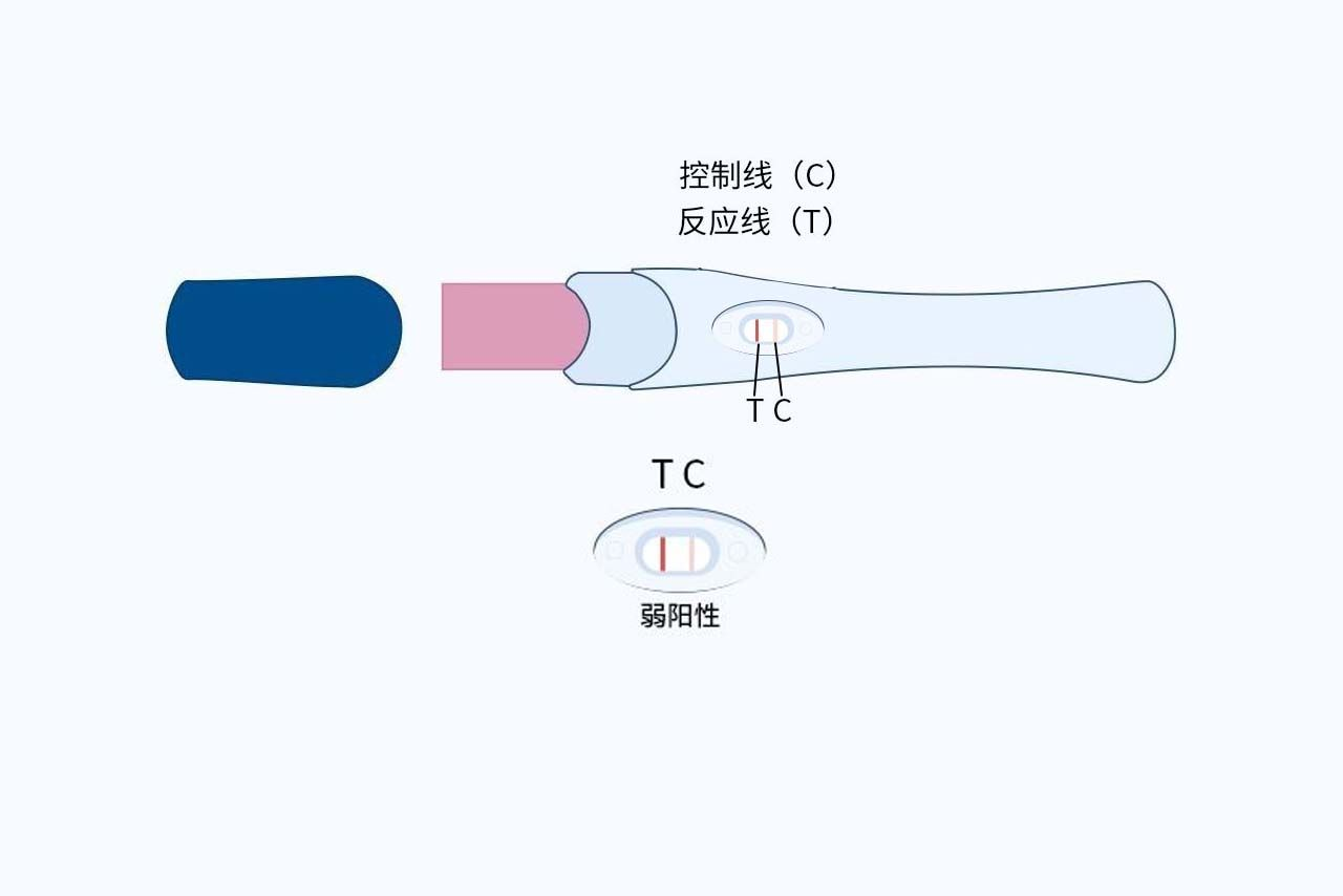 同房14天验孕棒一深一浅图片 同房15天验孕棒测出一深一浅