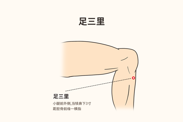 大人脾胃虚弱按摩图解（大人脾胃虚弱推拿图）