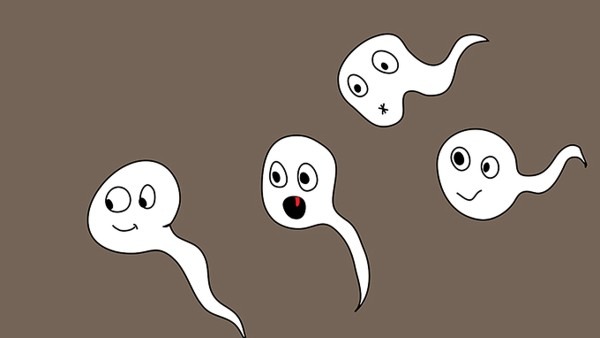 性生活质量为何越来越差 为什么性生活质量下降