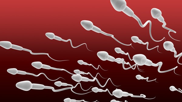 专家揭露 专家揭露真菌在鞋子里存活多久