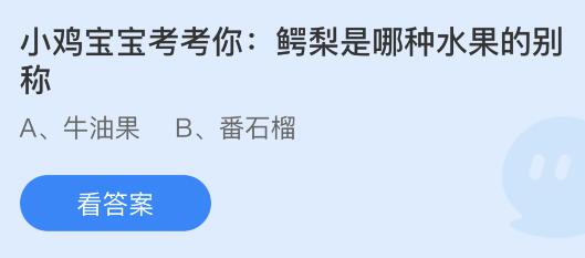 蚂蚁庄园12月14日答案最新：鳄梨是哪种水果的别称？哪种调料被称为“黑色黄金”？