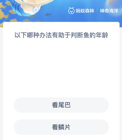 以下哪种办法有助于判断鱼的年龄 以下哪种办法有助于判断鱼的年龄大小