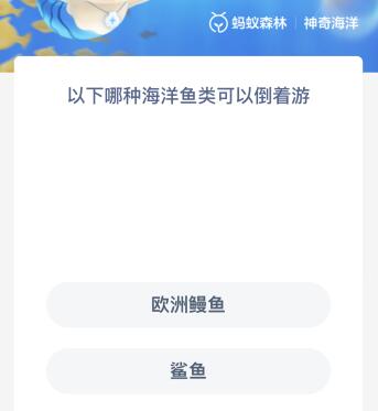 以下哪种海洋鱼类可以倒着游 什么鱼可以倒着游泳