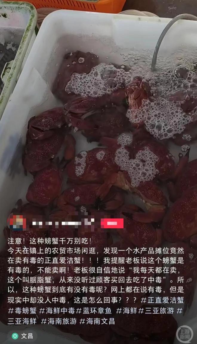 蓝环章鱼后又现毒螃蟹：海南文昌一市场售卖正直爱洁蟹，当地市监所称将调查