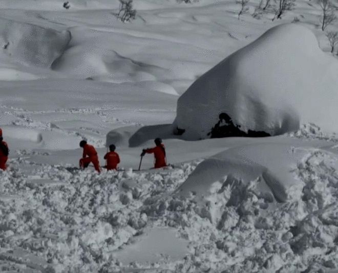 西藏林芝派墨公路雪崩遇难人数增至20人   