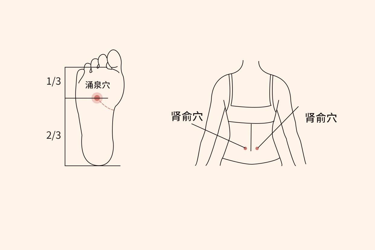 肾炎按摩哪个部位图片 肾的按摩位置图片