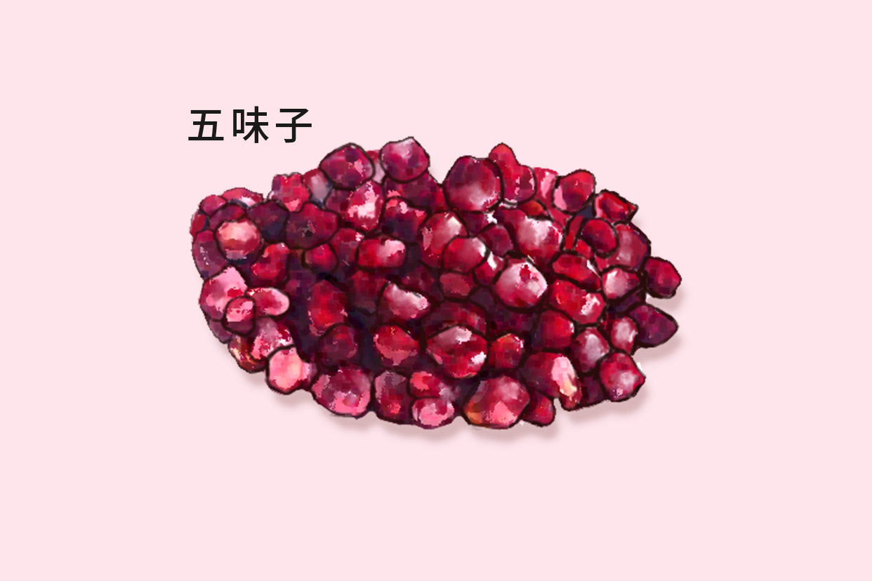 五倍子与五味子区别图片 五倍子与五味子区别图片