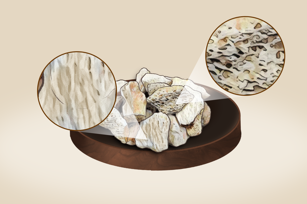 龙骨丹的图片 龙骨丹的图片