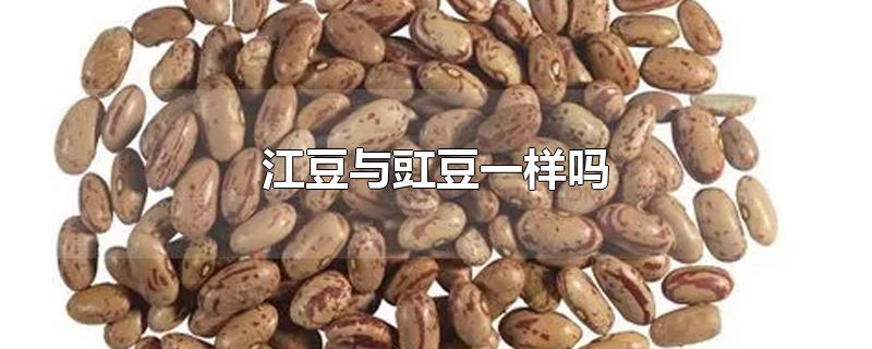 江豆与豇豆一样吗（豇豆角图片）