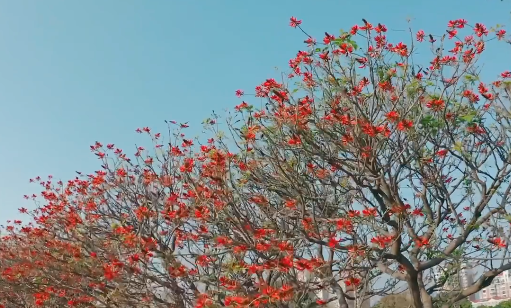 五一劳动节祝福语 五一劳动节祝福语 五一祝福