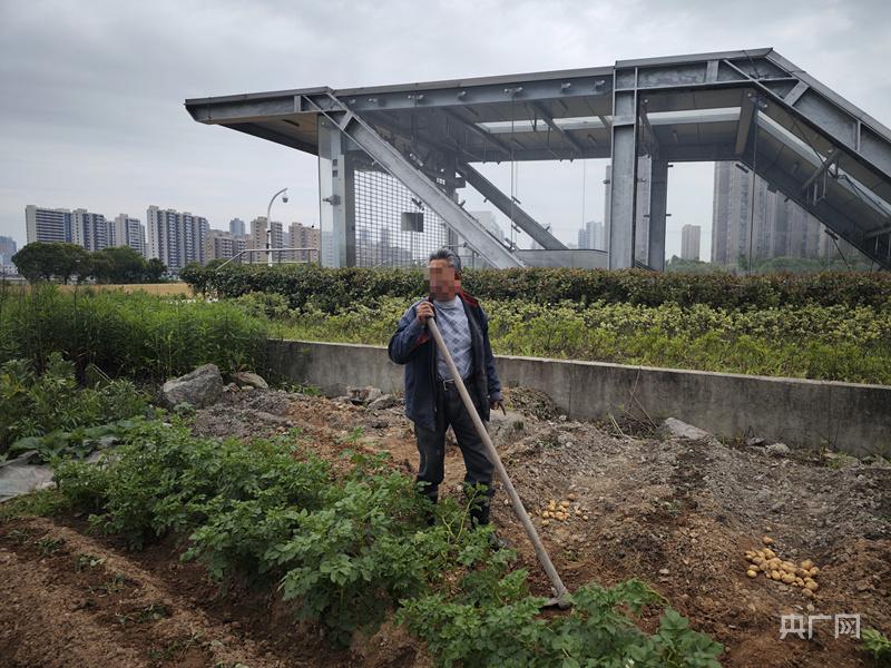 浙江宁波一地铁站建在基本农田里（宁波地铁站规划）