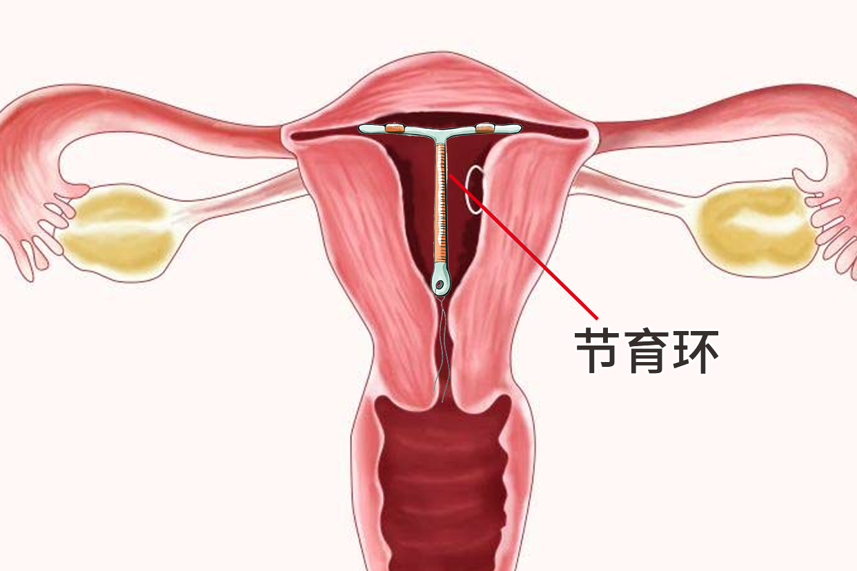 有女人上怀的子宫图片吗（女人上怀和没上怀有什么区别）