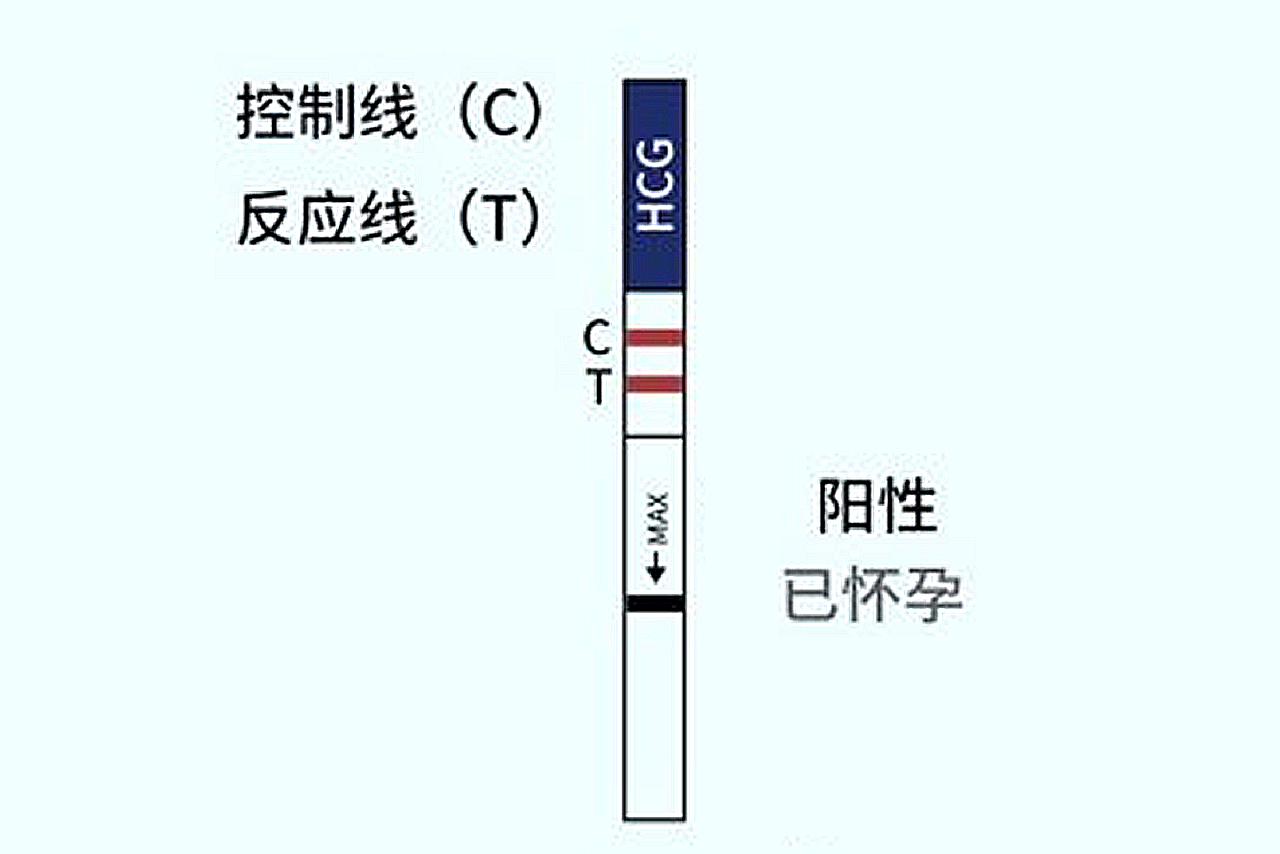 人流32天验出两条红杠是怀孕了吗图片（人流32天验出两条红杠是怀孕了吗图片大全）