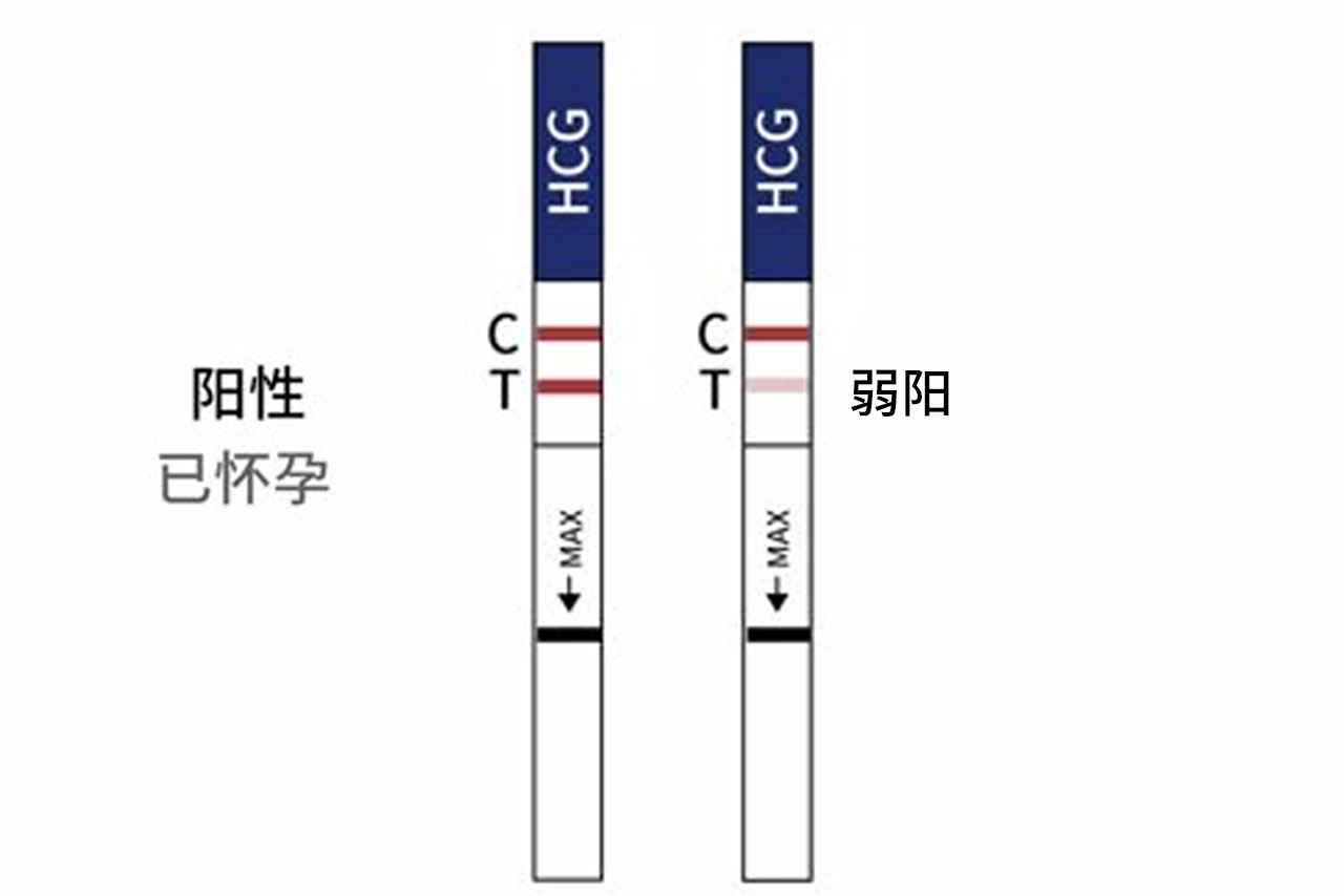 移植后试纸加深图（移植后试纸加深又变浅）