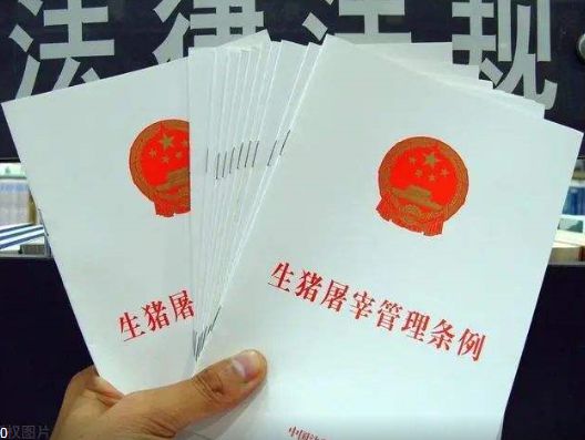 农民杀两头猪卖被罚款4万拒交罚款被告上法庭农民:还让我活吗？