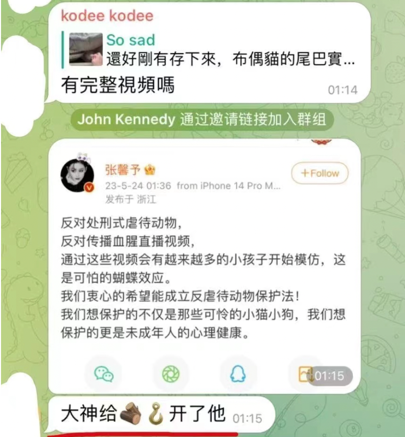 多位明星因反虐猫被“开盒”，此等挑衅不可放任！