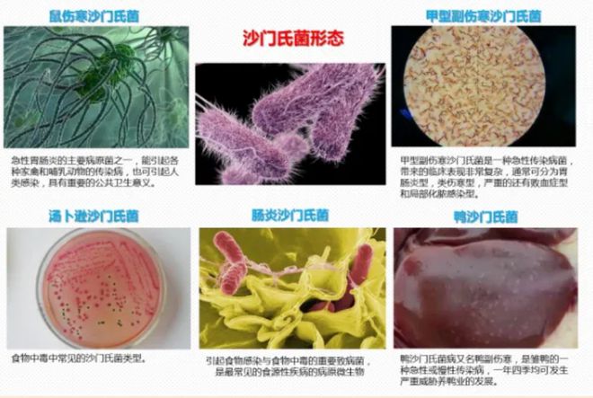 一场婚宴让117人“躺平”，湖北食物中毒案，法院该如何审判