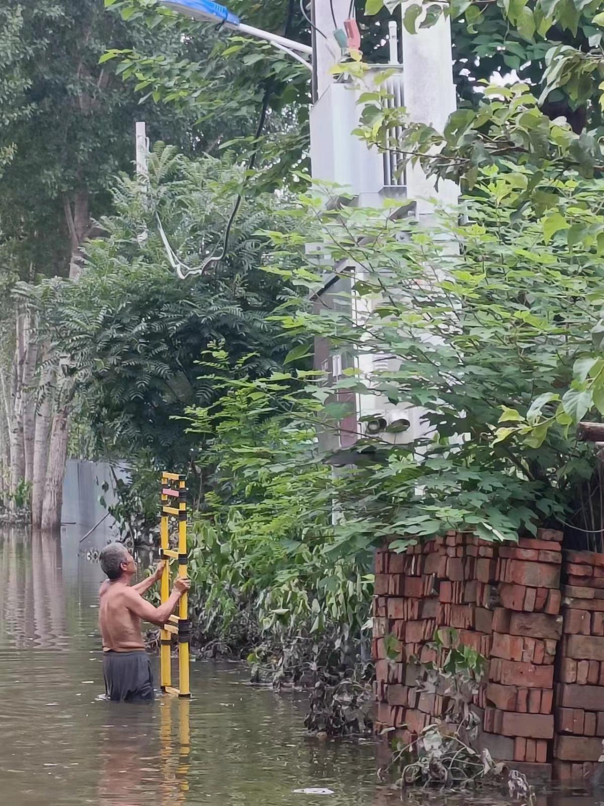 涿州受灾养殖户：500多斤的猪被冲走，羊站在死羊身上才存活