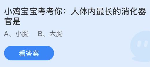 今日蚂蚁庄园小鸡课堂正确答案最新：人体内最长的消化器官是？上海徐家汇因为哪位明代科学家而得名？