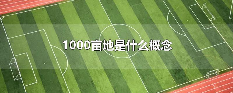 1000亩地是什么概念（1000亩地是多少）