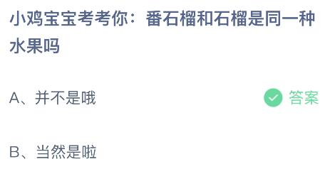 蚂蚁庄园今日答案最新：番石榴和石榴是同一种水果吗？有什么区别