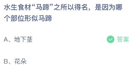 蚂蚁庄园今日答案最新：水生食材马蹄得名是因为哪个部位形似马蹄？地下茎还是花朵