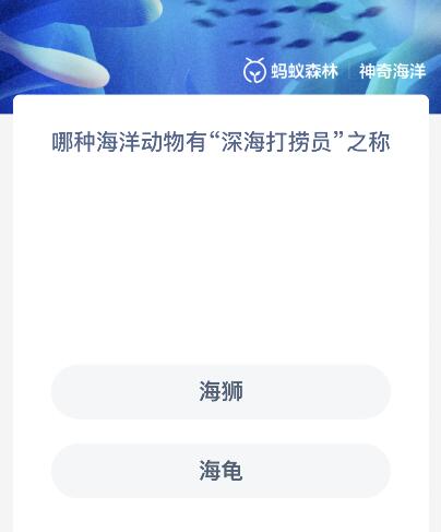 哪种海洋动物有“深海打捞员”之称（有深海打捞员之称的是）