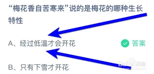 今日蚂蚁庄园小课堂最新答案：“梅花香自苦寒来说的是梅花的哪种生长特性？