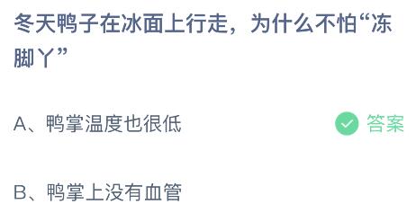 蚂蚁庄园今日答案最新：冬天鸭子在冰面上行走为什么不怕冻脚丫