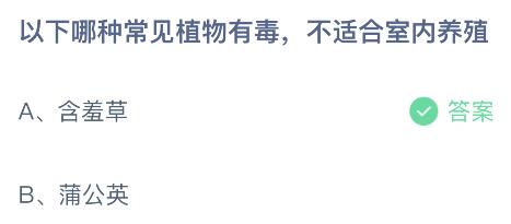 蒲公英和含羞草，哪种植物有毒不适合室内养殖？蚂蚁小课堂今日答案最新