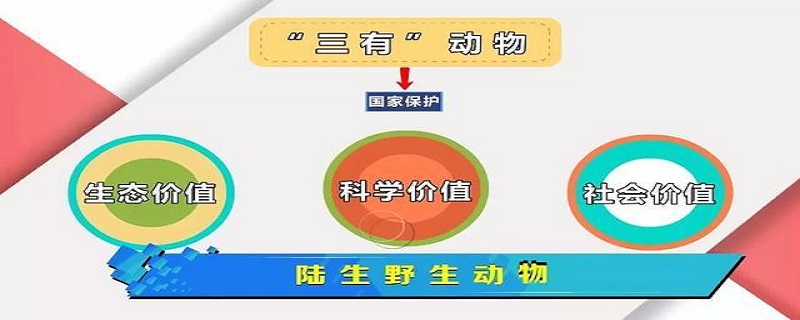 什么是三有野生动物（什么是三有野生动物图片）