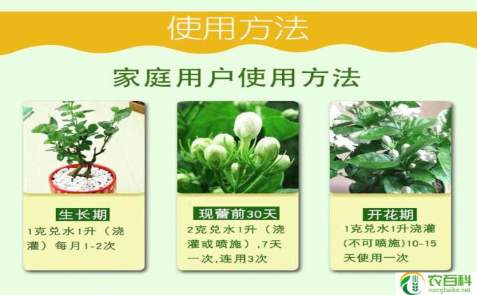 花多多肥料怎么用 花多多10号肥料怎么用