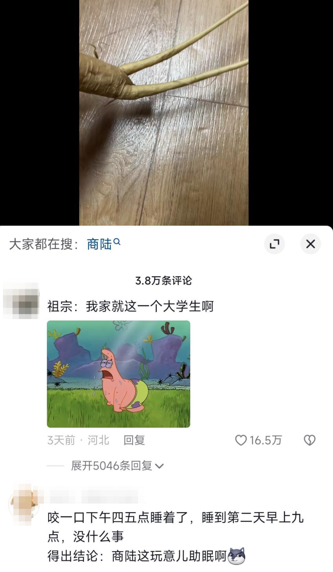 “大学生把商陆当人参误食后睡17个小时”引热议，当事人称在韩留学 中药师：中毒反应