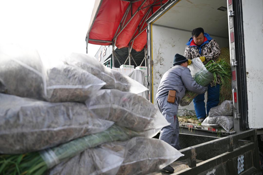 白菜卖出“白菜价”，为近5年同期最低 专家：下雪天冷或让菜价止跌回升